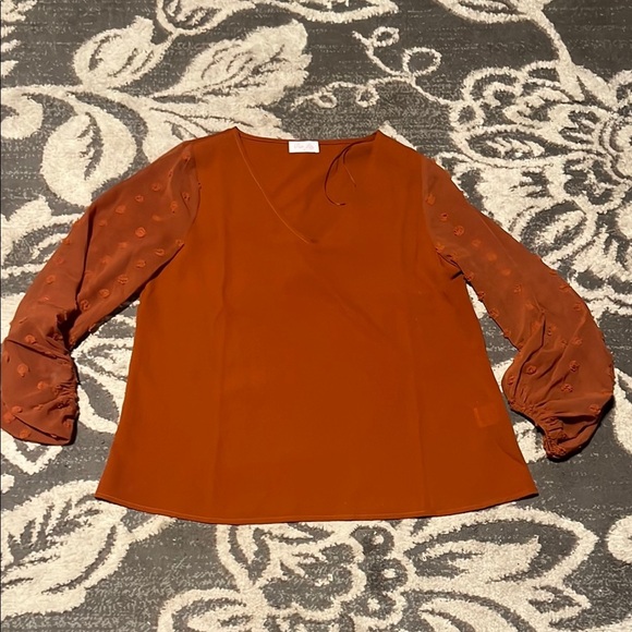 Pink Lily Tops - Pink Lily rust colored Blouse